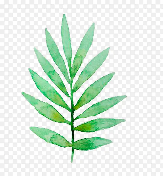 ˮ��Ҷ��-������