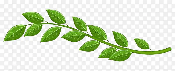 �ֻ���ɫ��ƽ����Ҷ-������