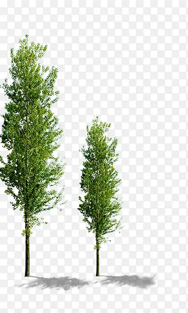 ����-������