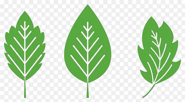 ��ɫ�ֻ��ƽ����Ҷ-������