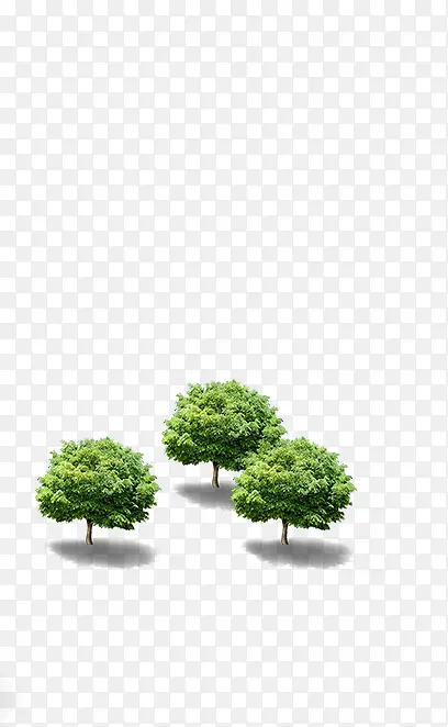 ����-������