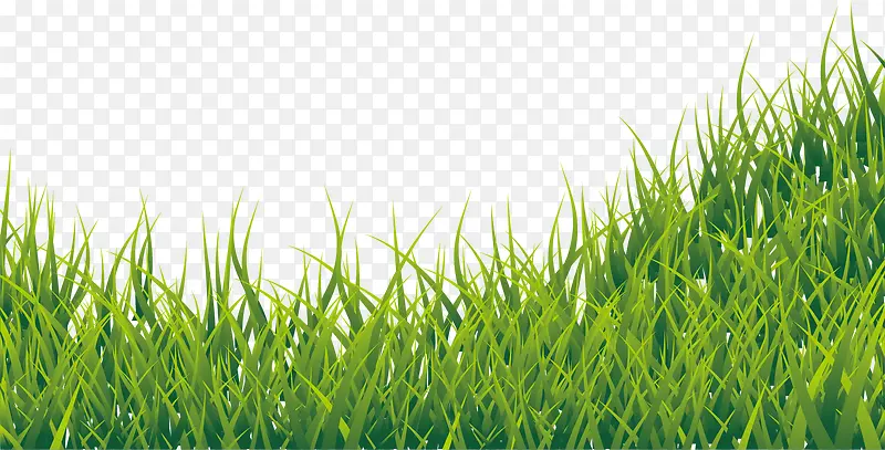 ��ɫС��-������