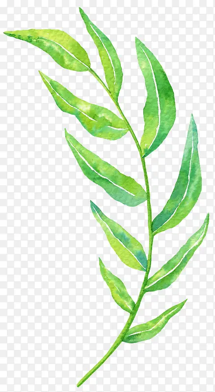 ��֦-������