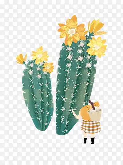 �廭-������