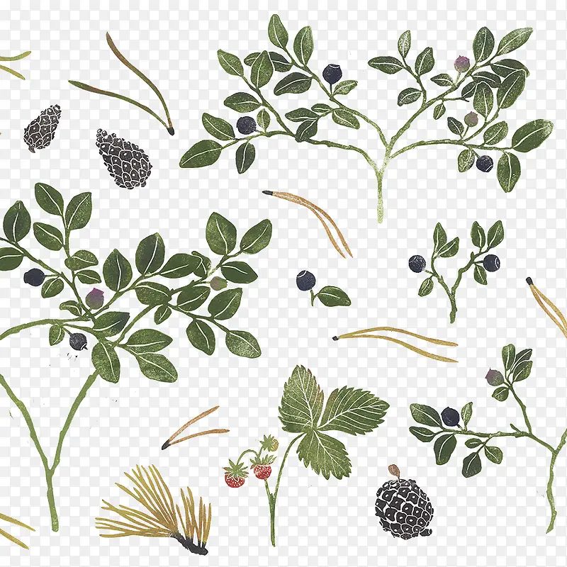 �ʻ�Ҷ���ز�-������