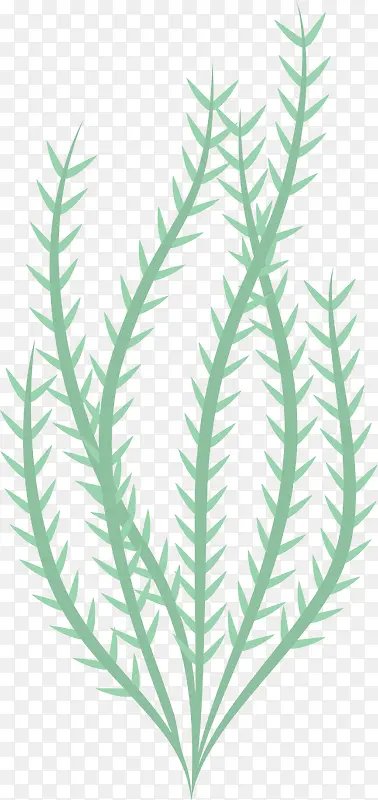 ��ɫ��Լֲ��-������