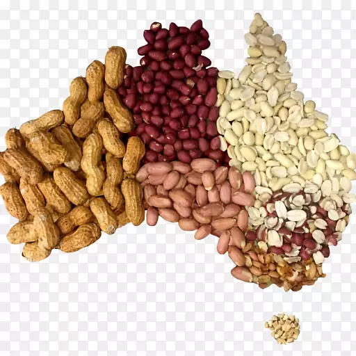 ��������ʳ��ʳ����-����-������