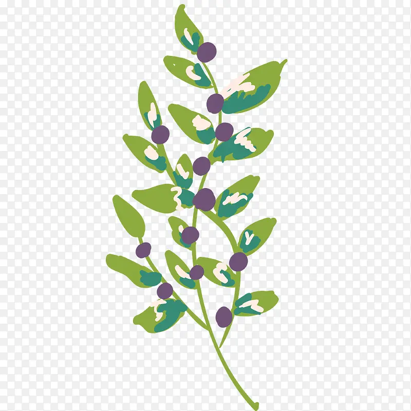 ��ɫ��֦-������