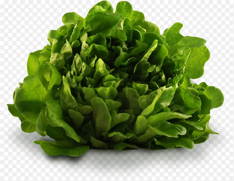 ��ɫ�߲�-������