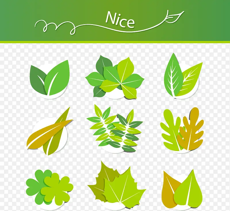 �ֻ�ֲ����Ҷ-������