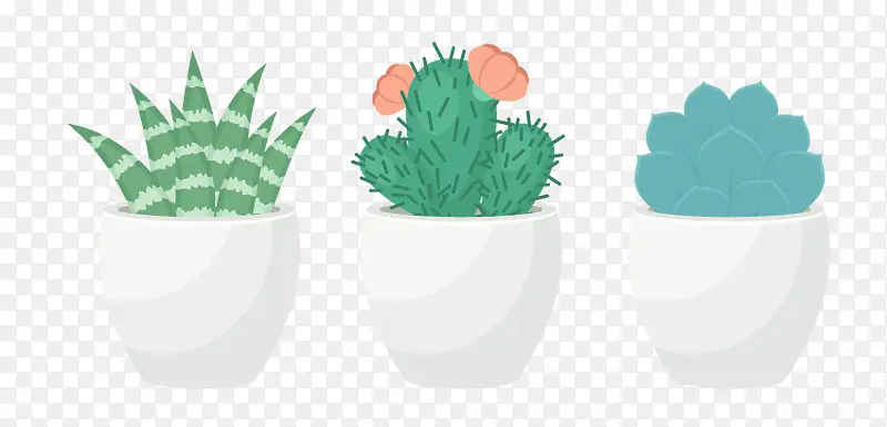 �ֻ�ֲ��-������