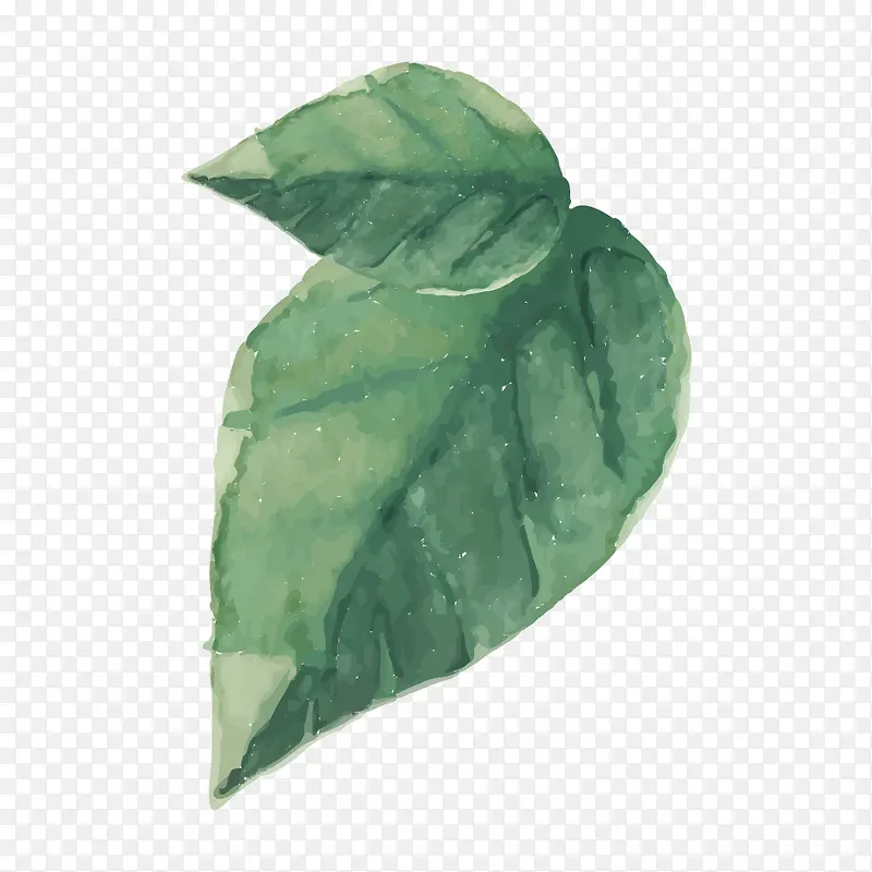 ˮ����Ҷ-������