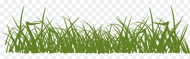 ʸ����ɫС��-������