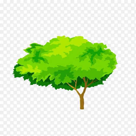 ��ͨ��-������