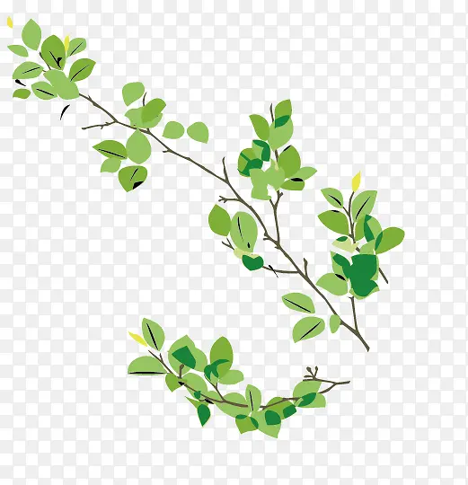 ��ɫֲ����֦-������