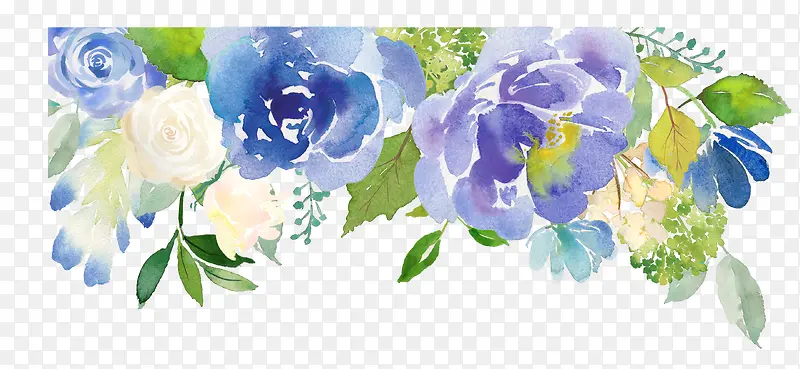 ˮ��ֲ��-������