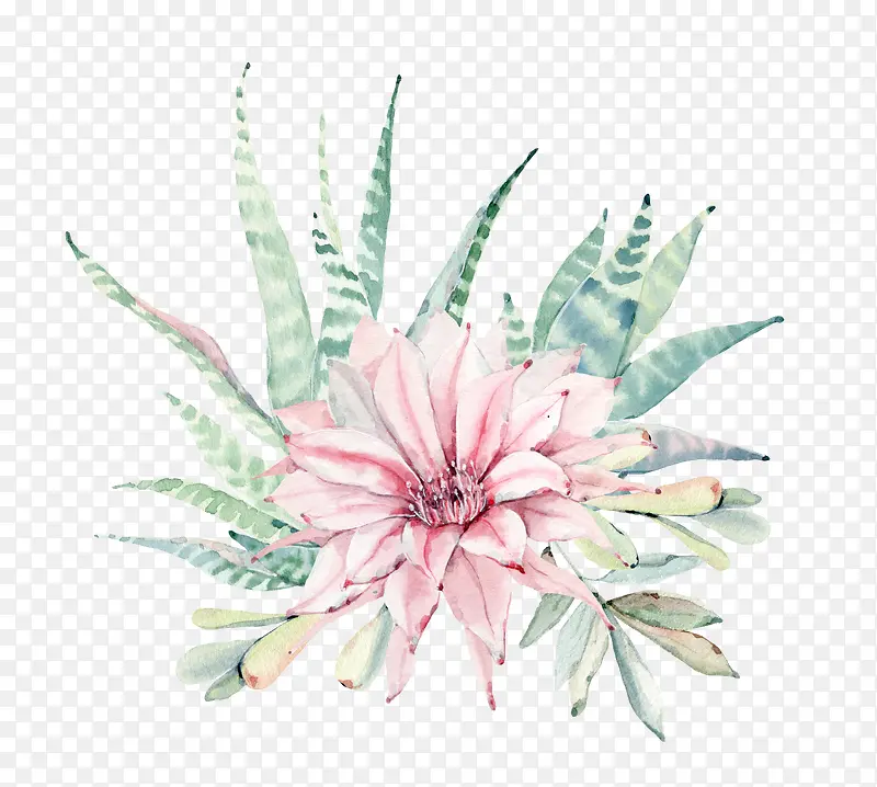 ˮ�ʻ���ֲ��-������