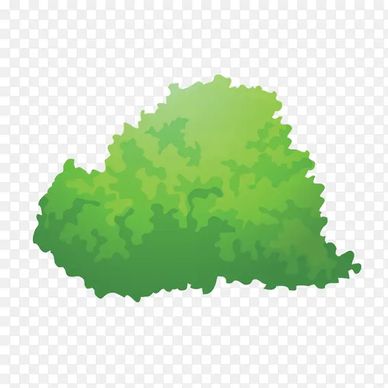 ��ͨ��Ҷ-������