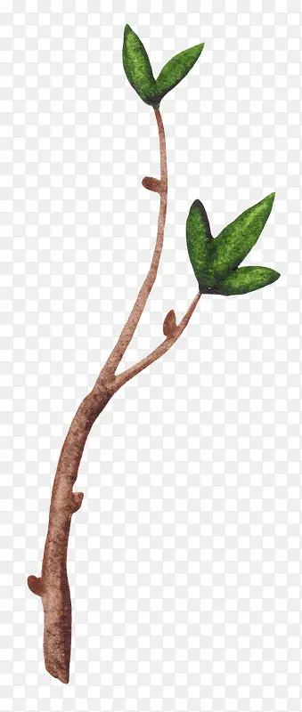 ��ͨ�ֻ���֦��Ҷ-������