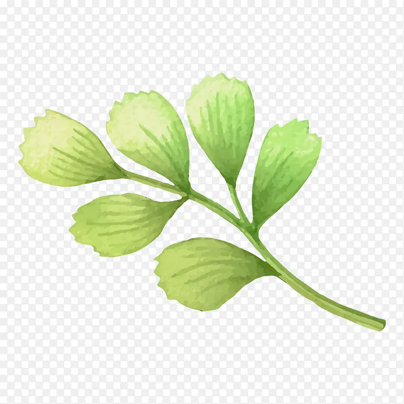 �ֻ�ֲ��-������