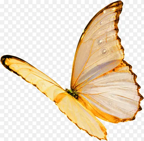 ����-������