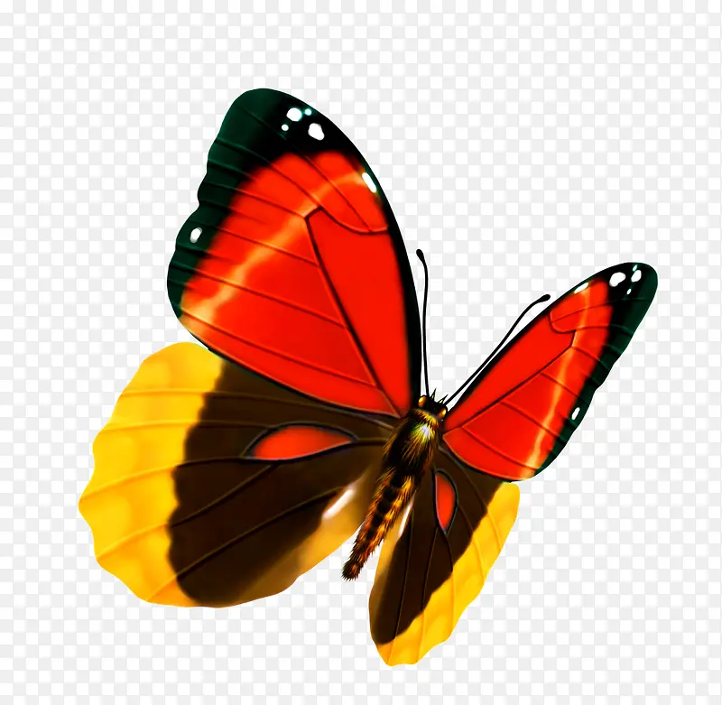 ����-������