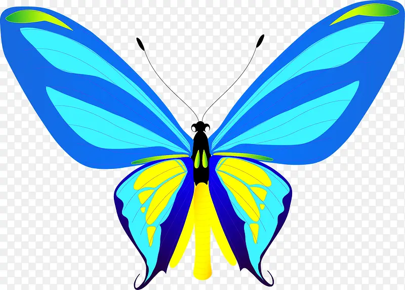 �ֻ����-������