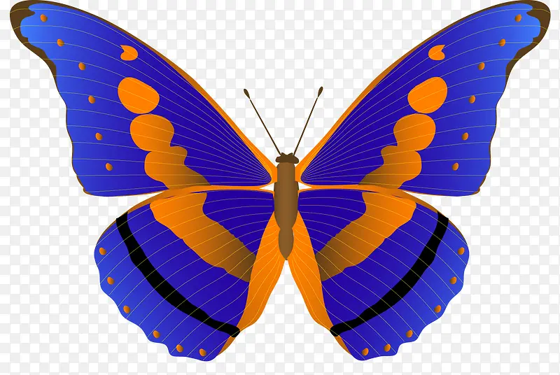 �ֻ����-������