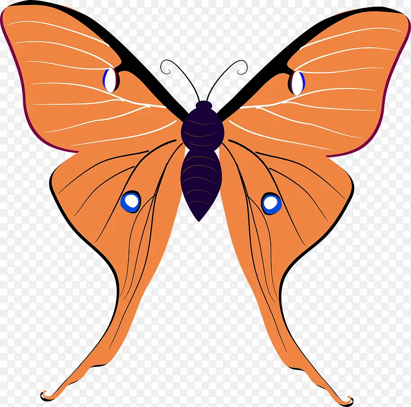 �ֻ����-������