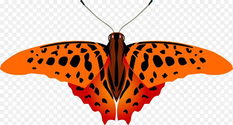 �ֻ����-������