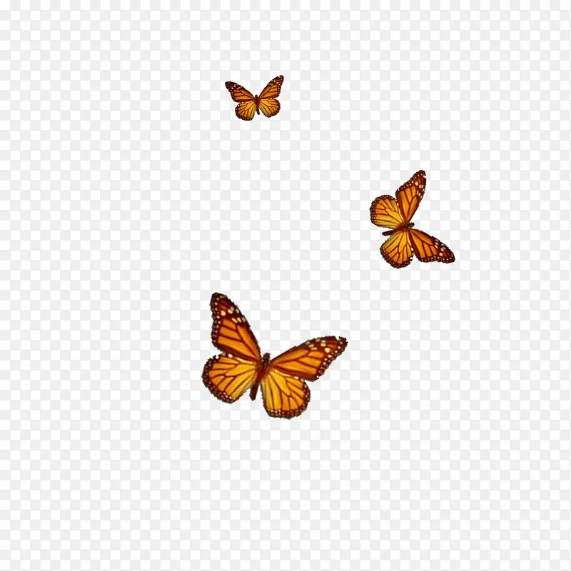 Ư����ɫ����-������