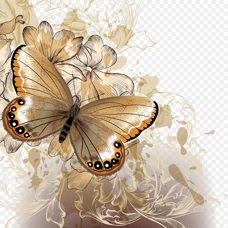 �ʸк���-������