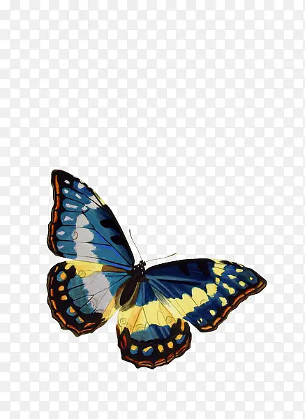 �ֻ����-������