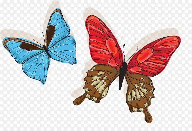 �ֻ����-������