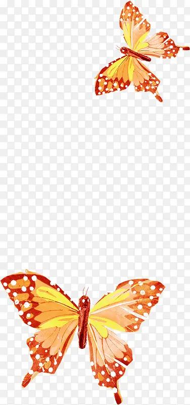 ��ɫ������-������