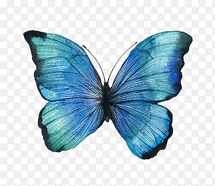 �ֻ���ɫ����-������