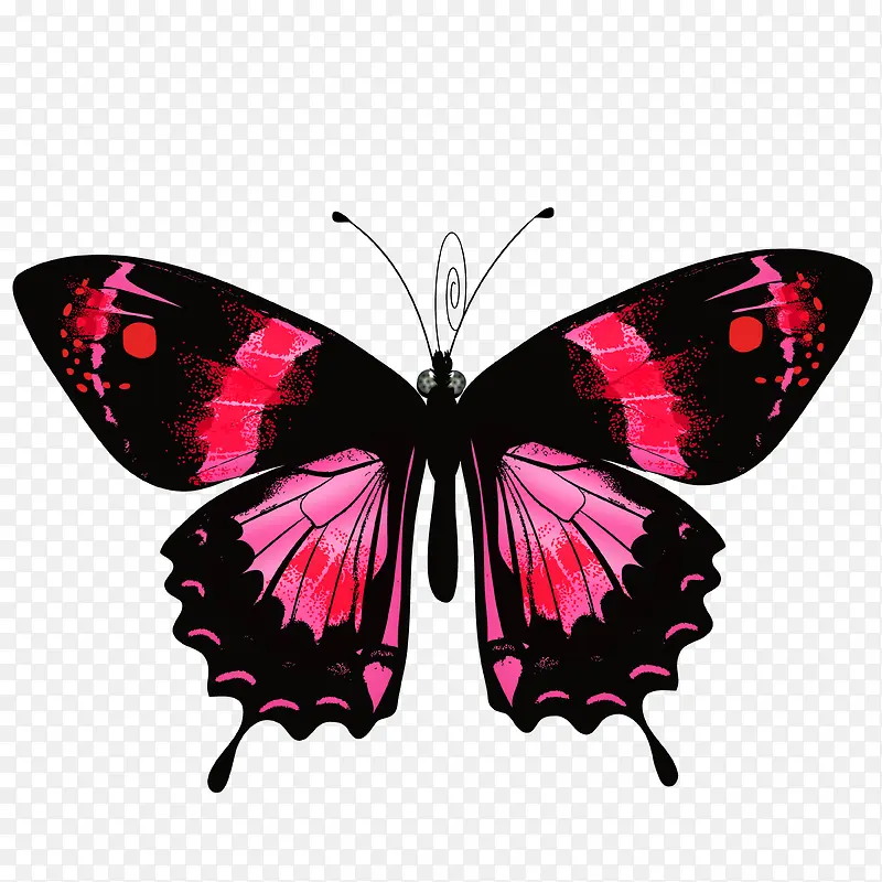 �ֻ����-������