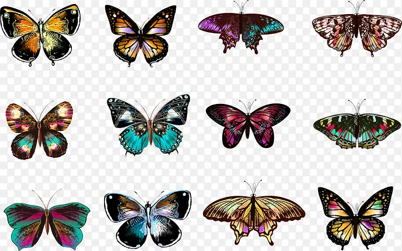 �ֻ����-������