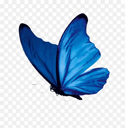 ����-������