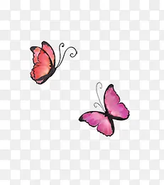 �ֻ����-������