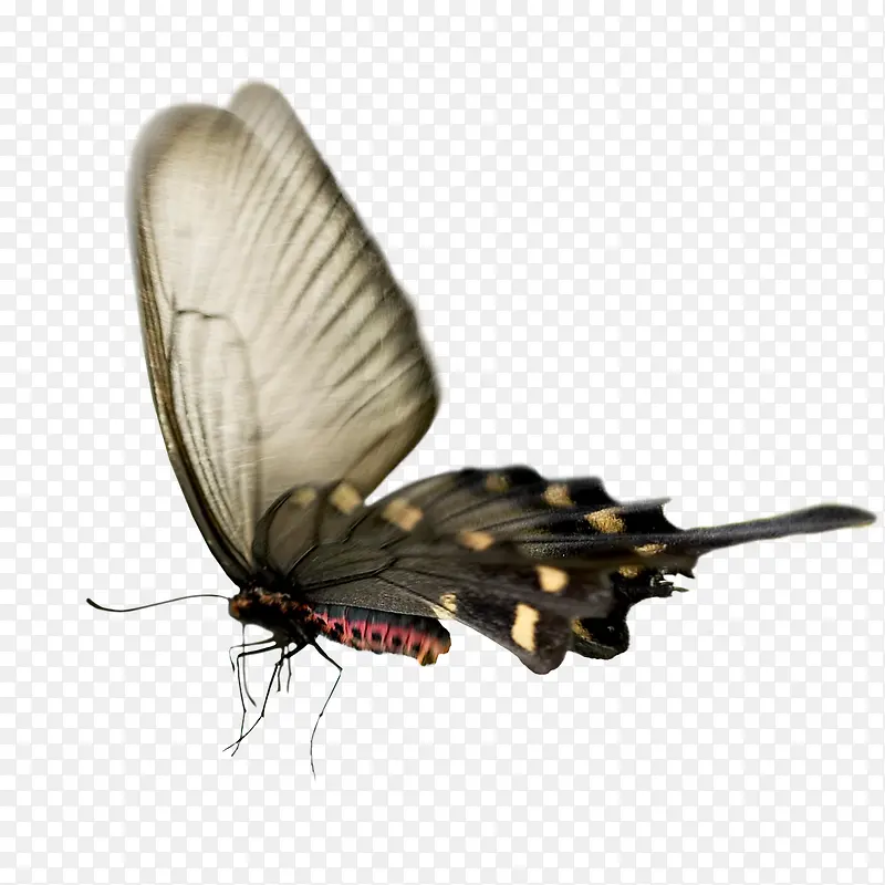 �������΢��ͼ-������