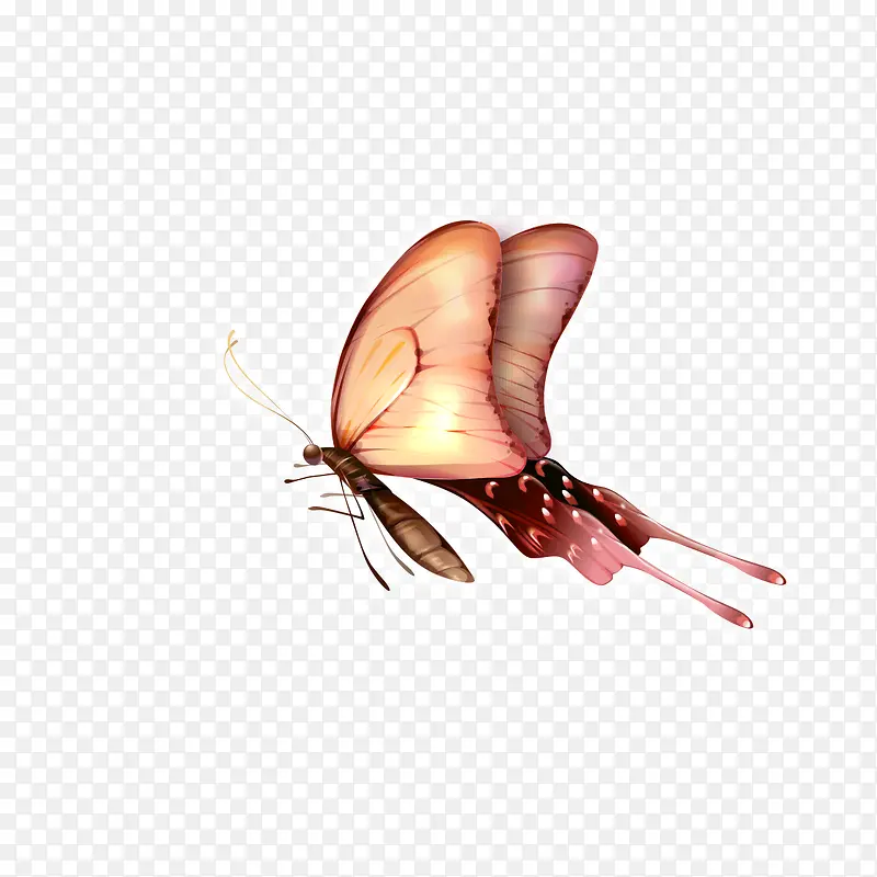 ��ɫ����-������