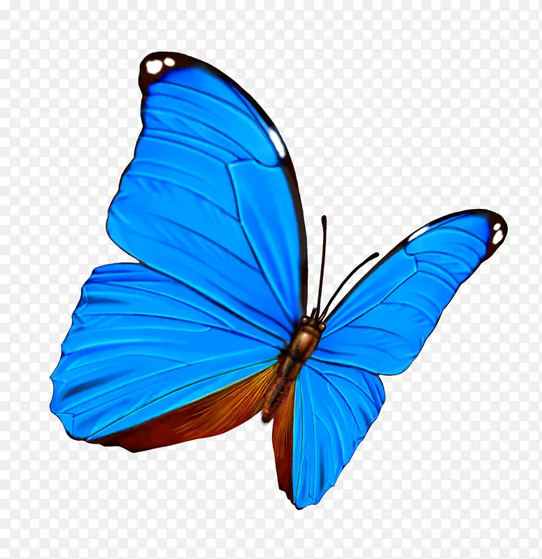 ����-������