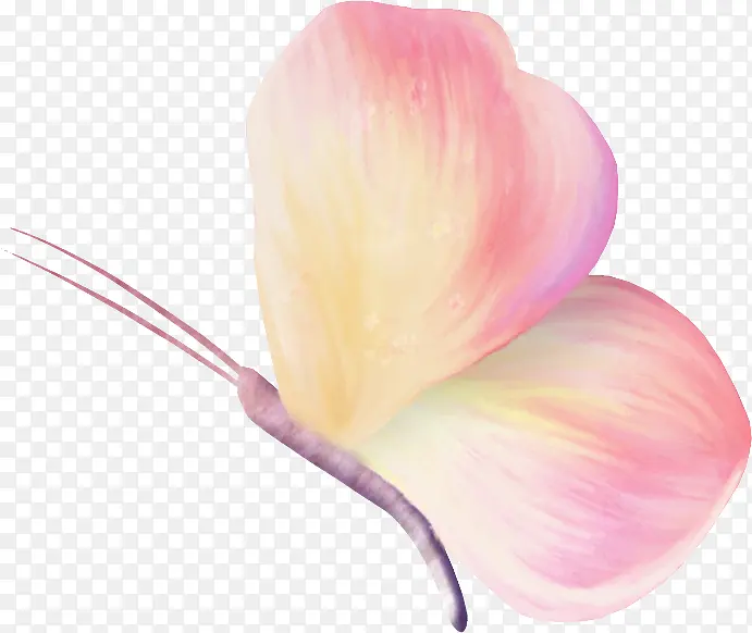 ��ɫ������-������