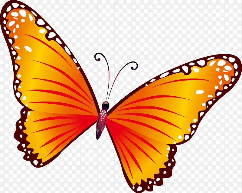 �����ֻ�װ��-������