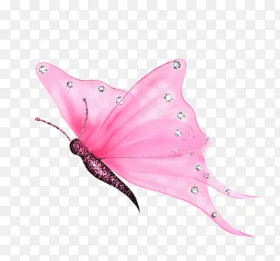 ��ɫ�ֻ�����ز�-������