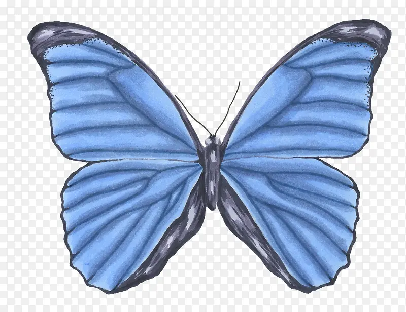 ˮ���ֻ����-������