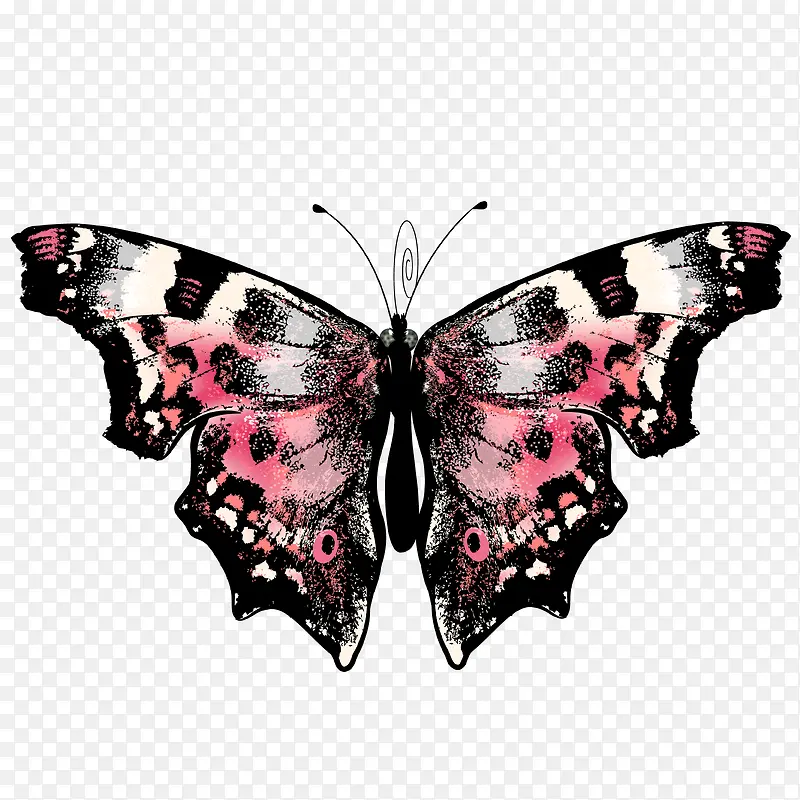 �ֻ����-������