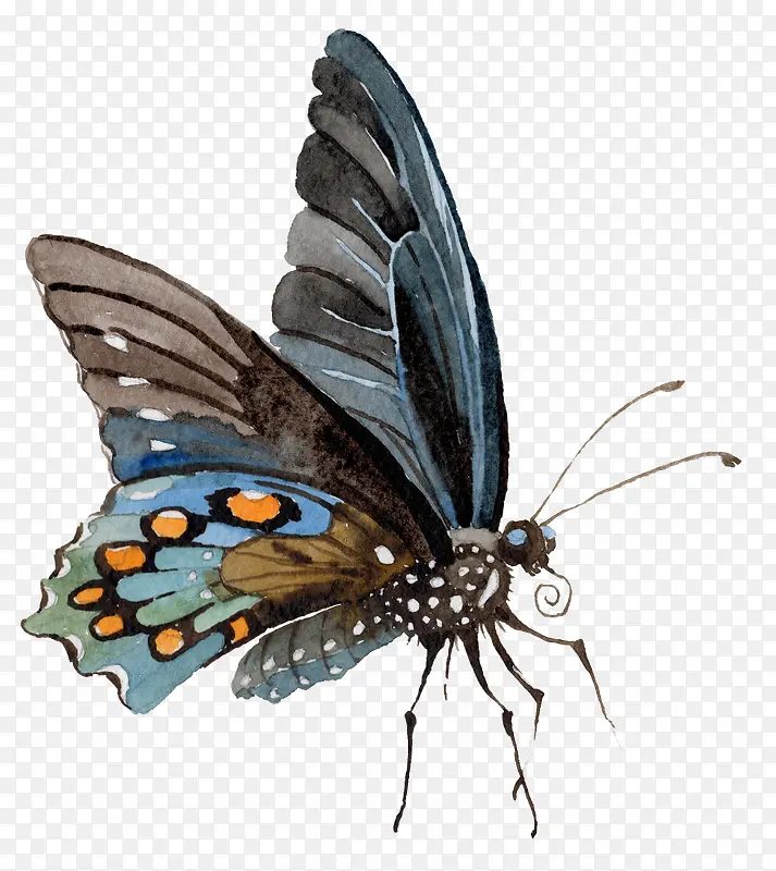 ��ͨ�ɰ�С����װ����ƶ���ͷ��-������