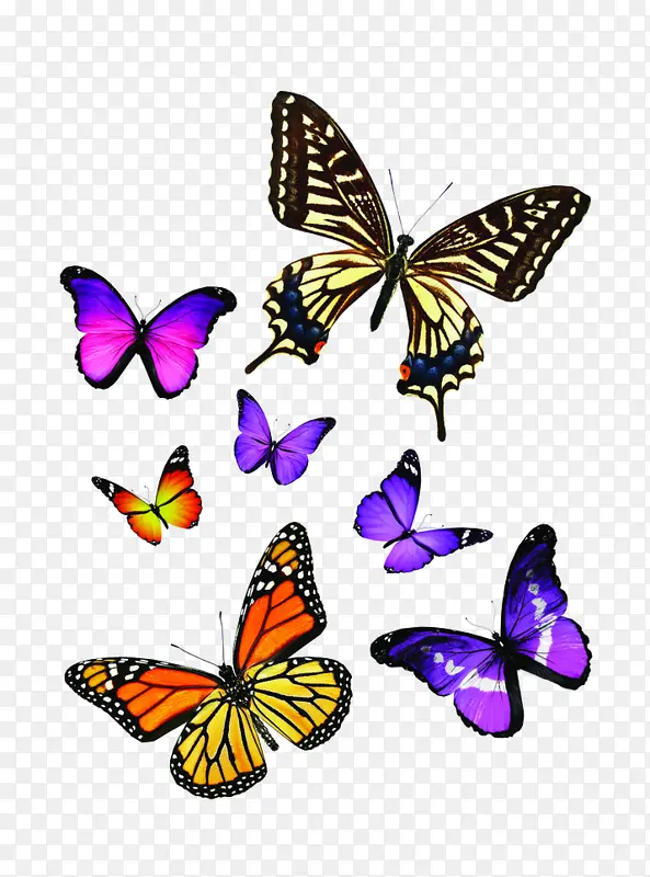 �ֻ����-������